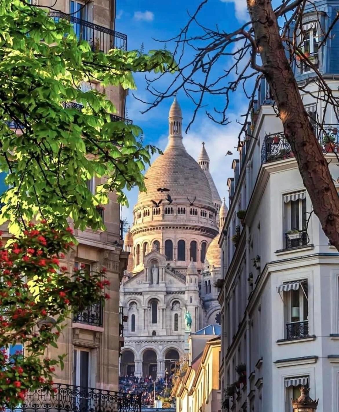 Suite Villanova Near Disneyland Paris シェシー エクステリア 写真
